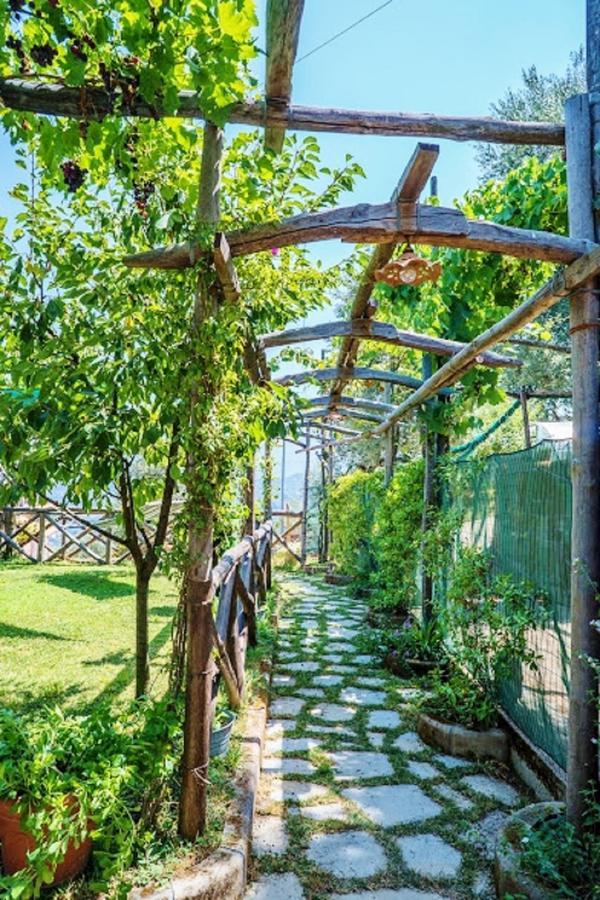 Villa Caruso Sorrento Dış mekan fotoğraf